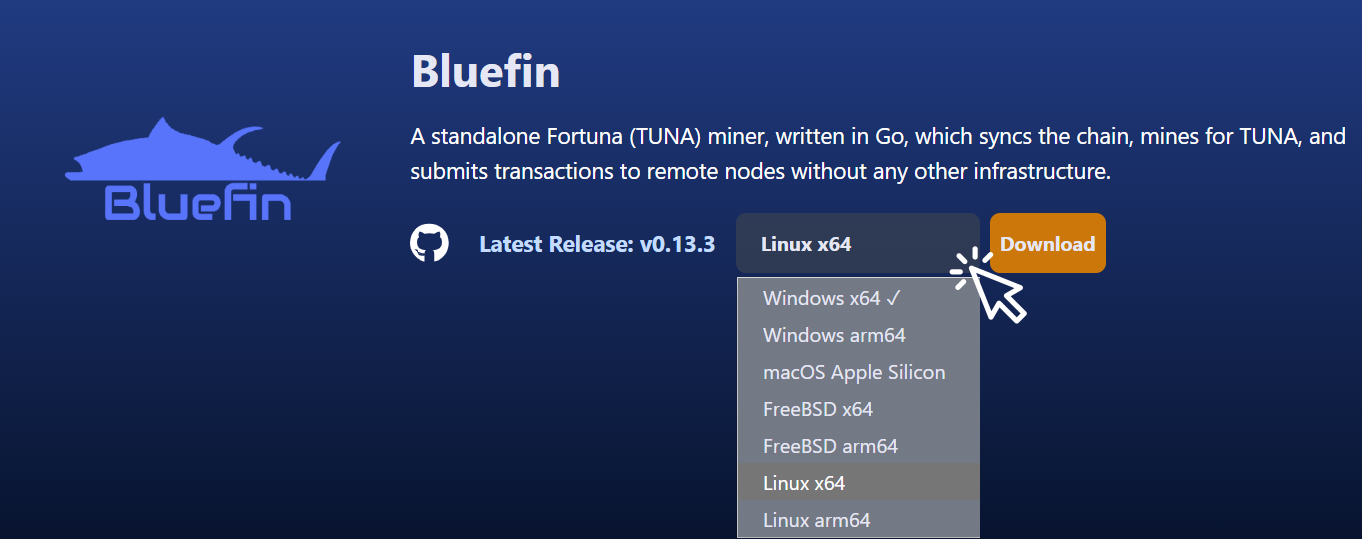 bluefin-blinklabs-site-operating-system
