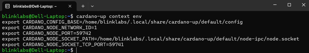 cardano-up-context-env