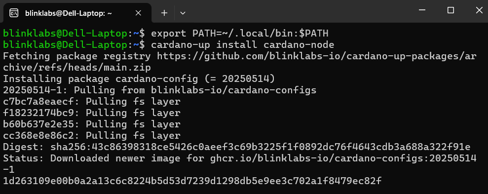 cardano-up-install-cardano-node