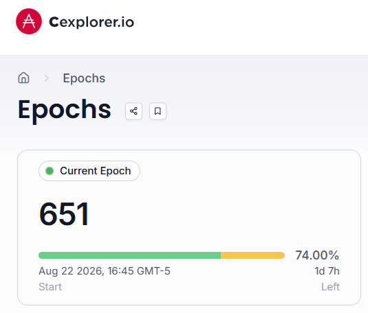 dingo-epoch-70-percent-over