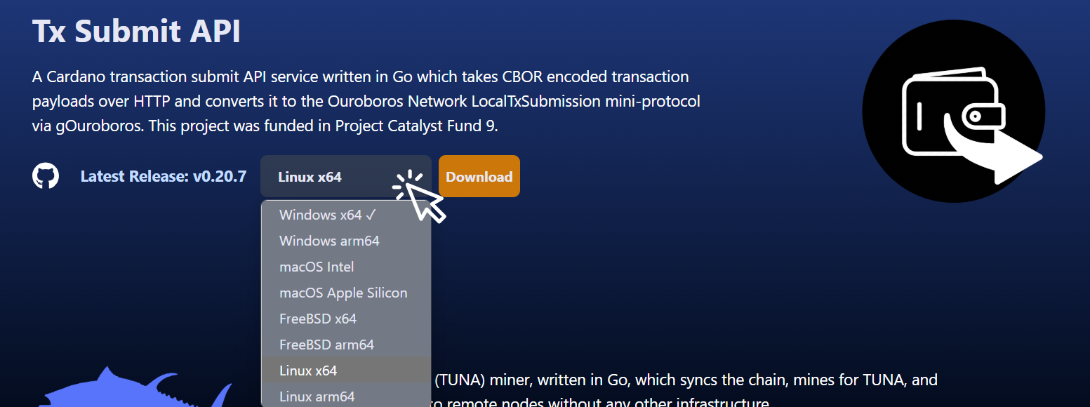 txsubmit-blinklabs-site-operating-system